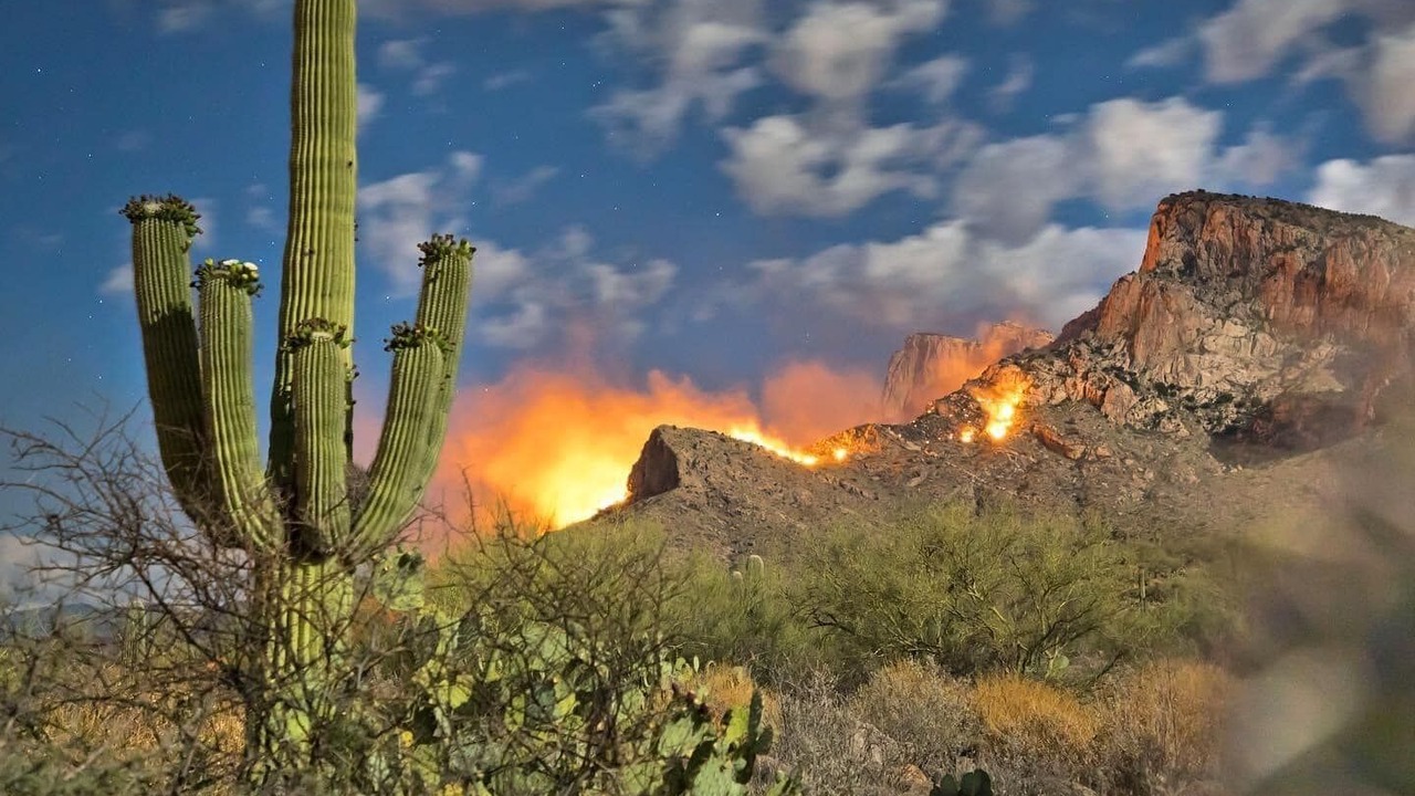 Photo of Outdoor in Oro Valley