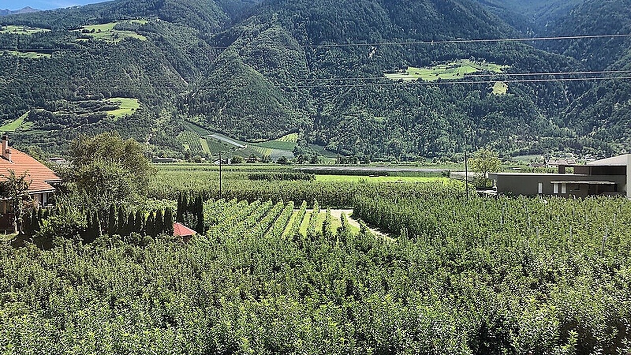 Photo of Others in Castelbello-Ciardes