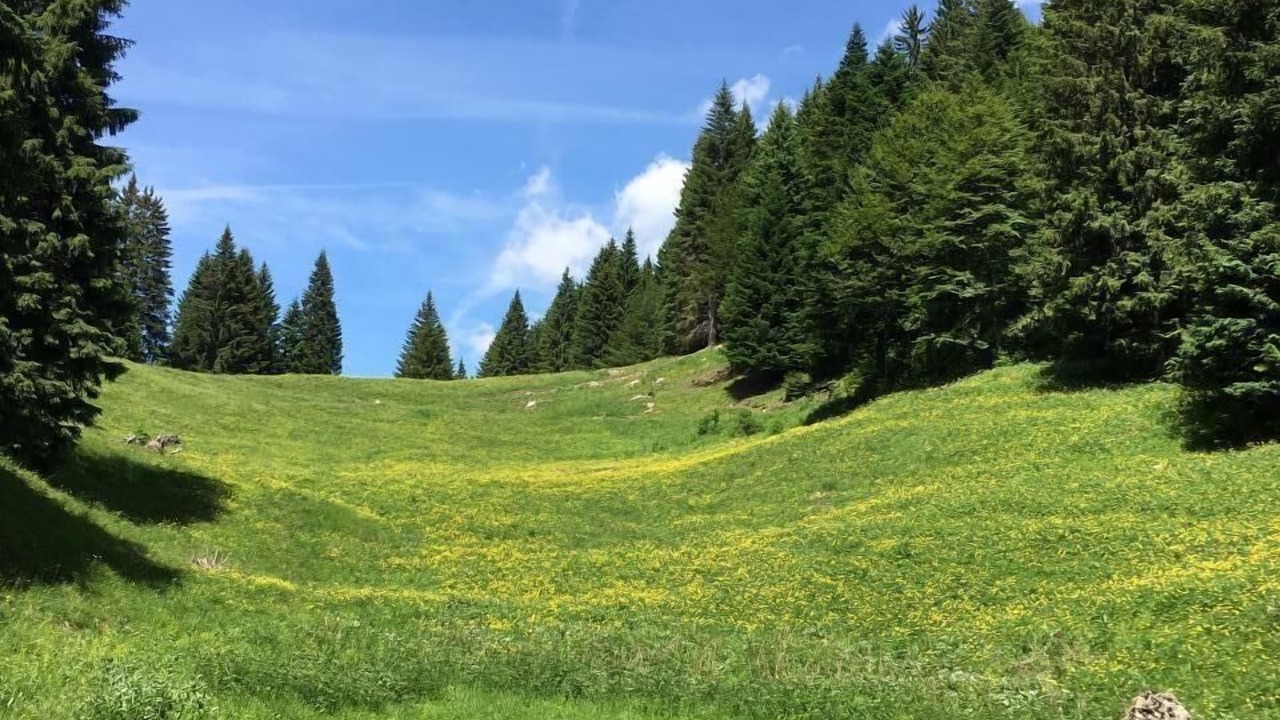 Photo of Others in Pieve di Bono-Prezzo