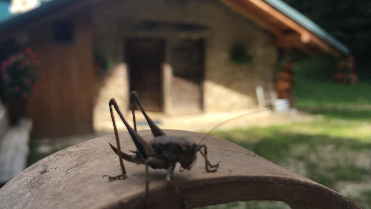Photo of Outdoor in Pieve di Bono-Prezzo