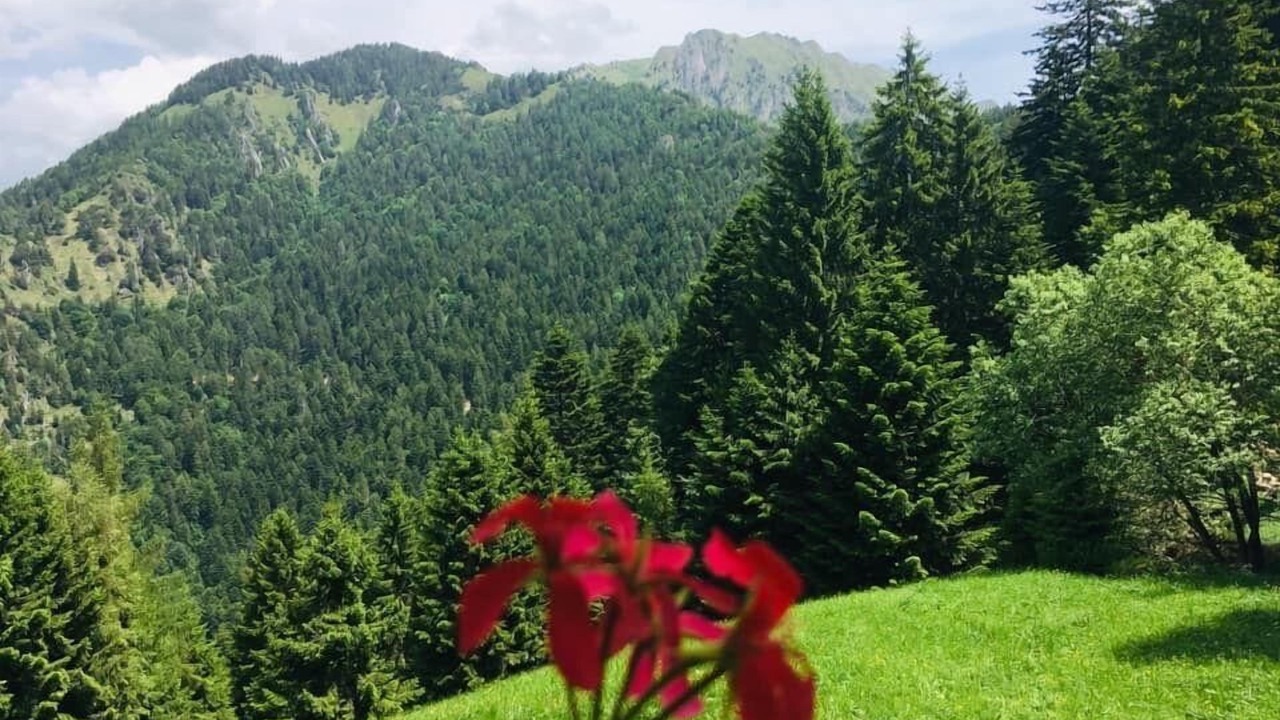 Photo of Outdoor in Pieve di Bono-Prezzo