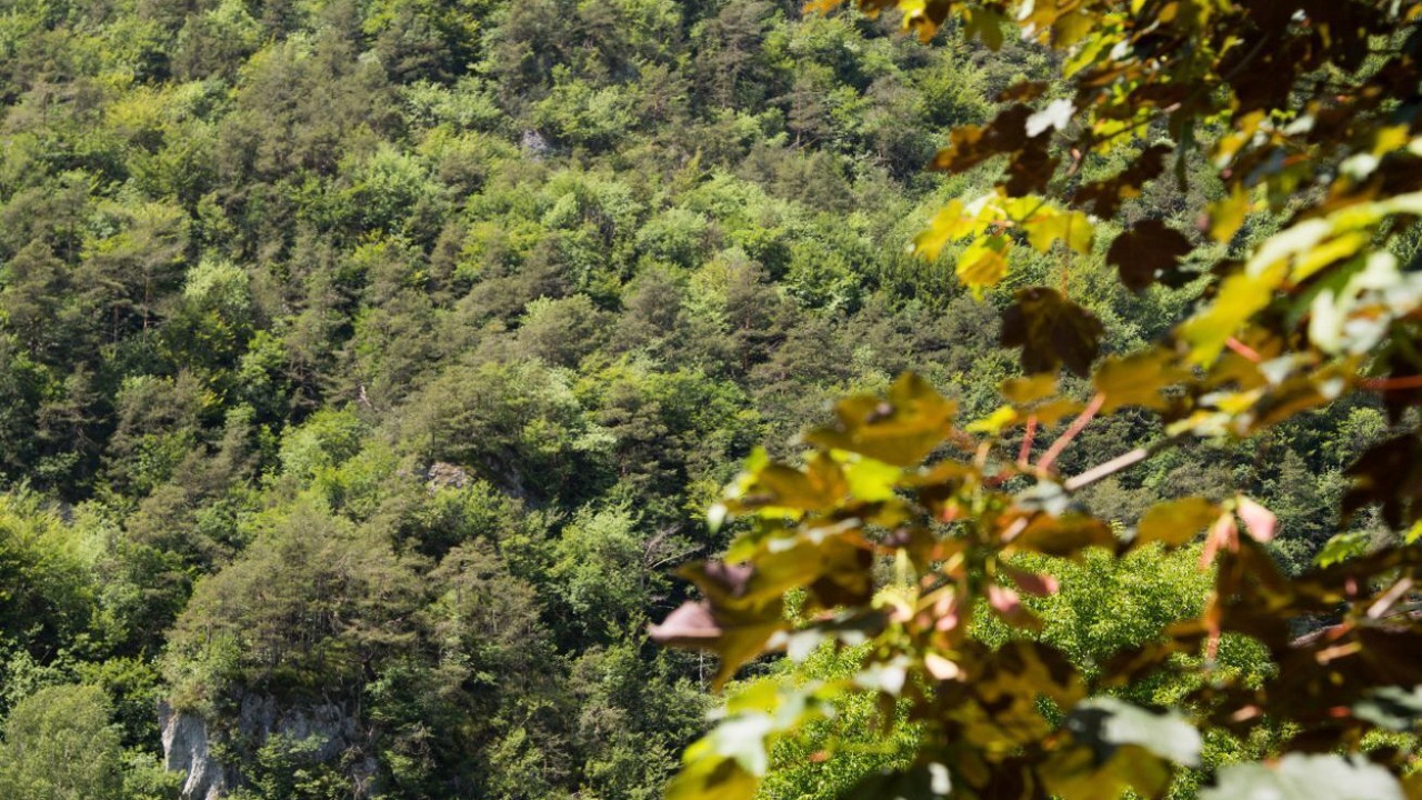 Photo of Others in Ledro