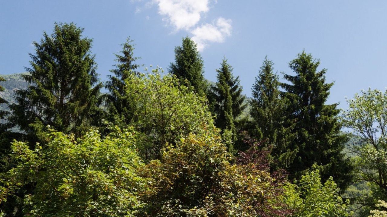 Photo of Others in Ledro