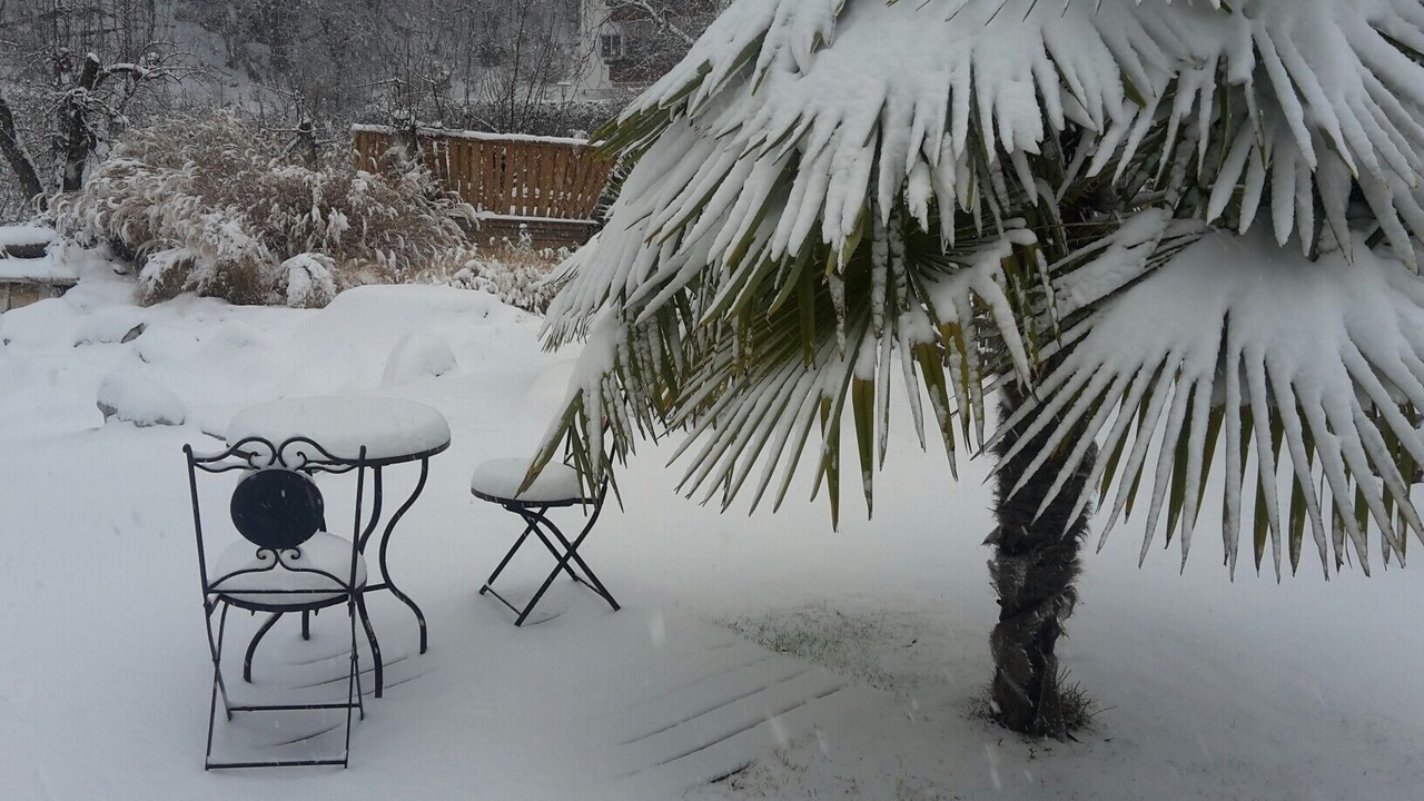 Photo of Outdoor in Nalles