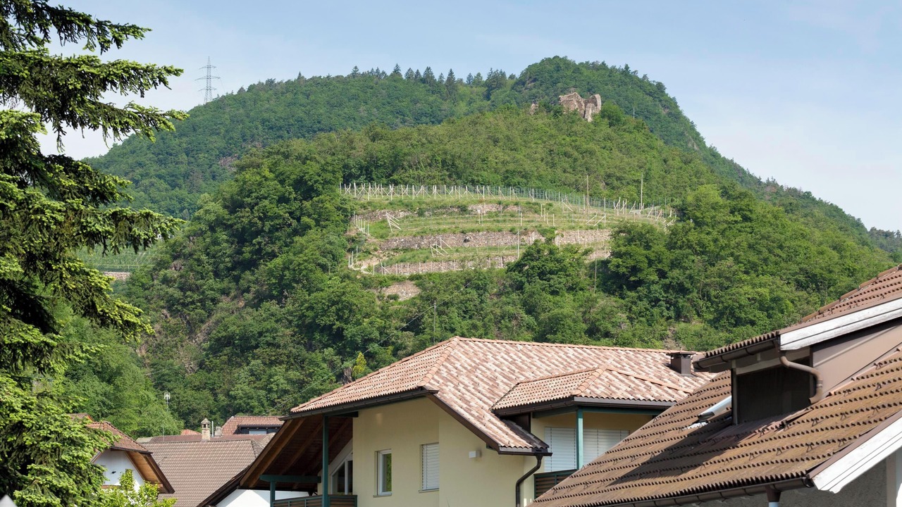 Photo of Outdoor in Nalles
