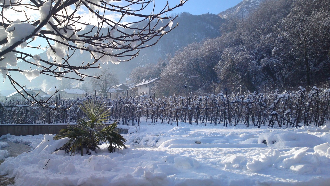Photo of Outdoor in Nalles