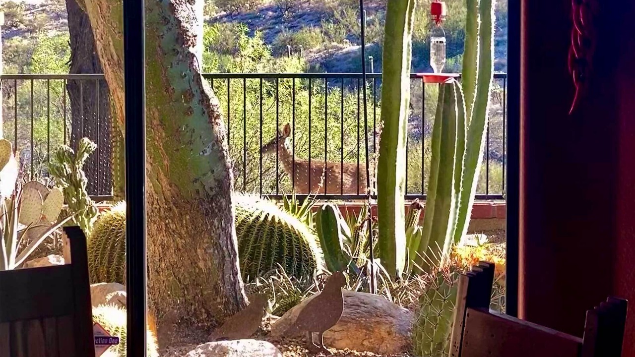 Photo of Others in El Conquistador
