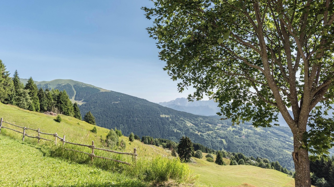 Photo of Others in Sella Giudicarie