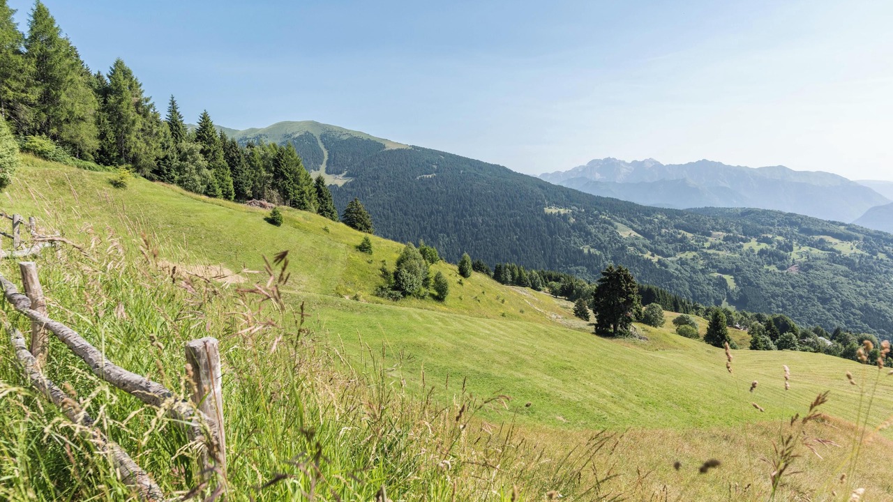 Photo of Others in Sella Giudicarie