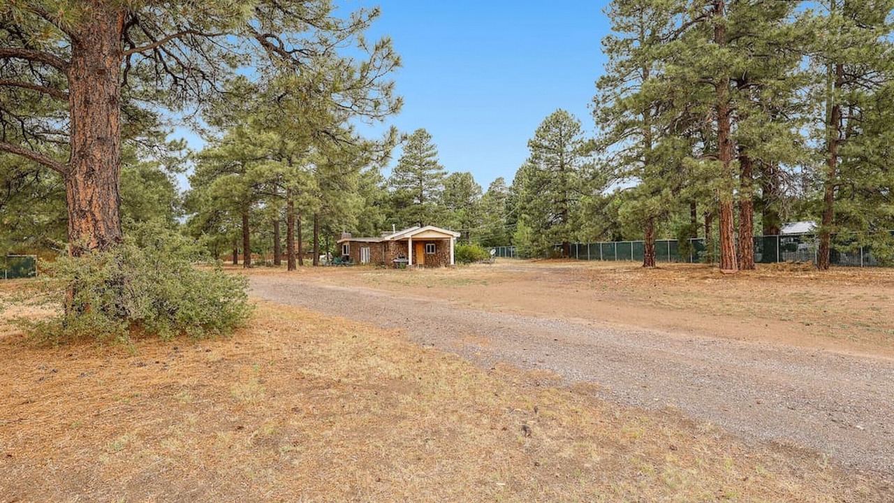 Photo of Outdoor in Flagstaff