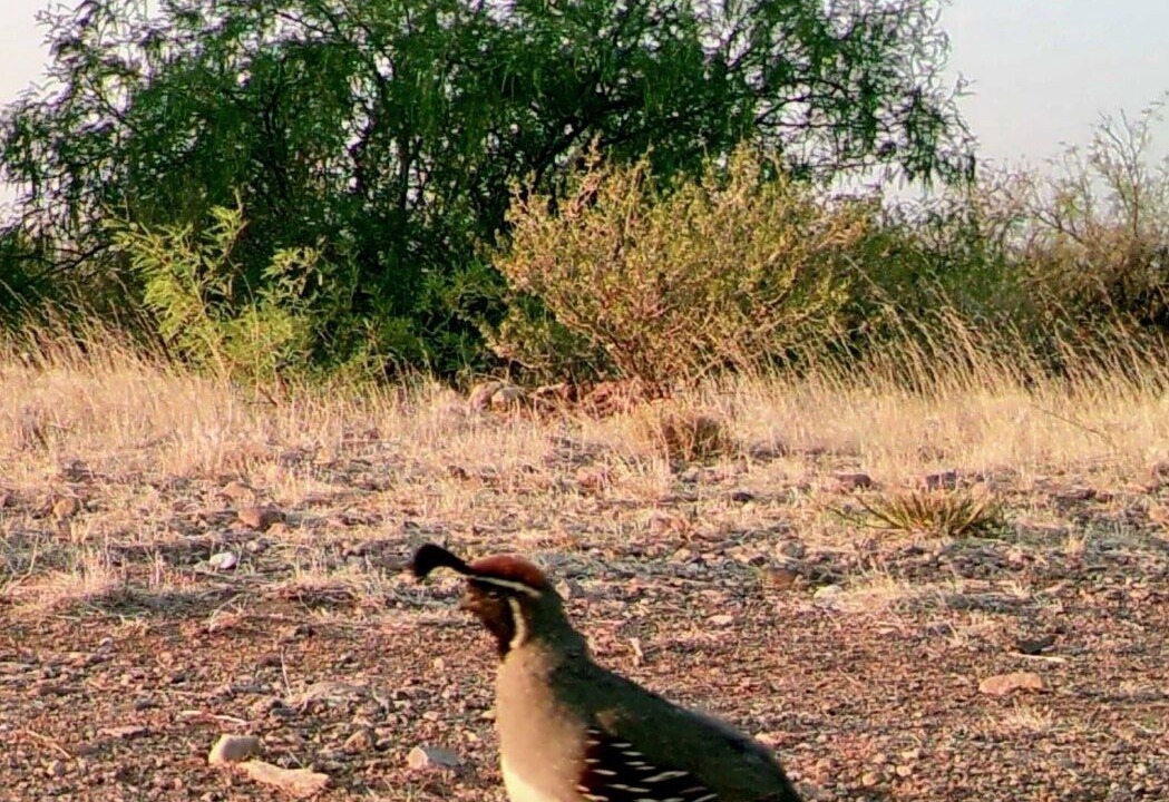 Photo of Others in McNeal