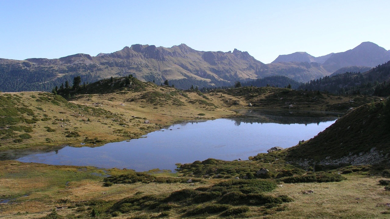 Photo of Others in Castello-Molina di Fiemme