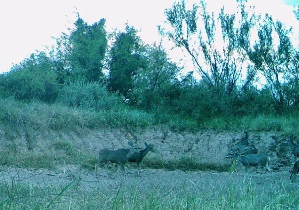 Photo of Outdoor in McNeal