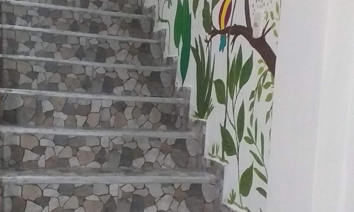 Photo of Others in Tarapoto