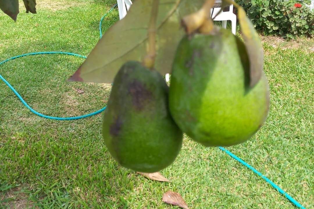 Photo of Outdoor in Trujillo