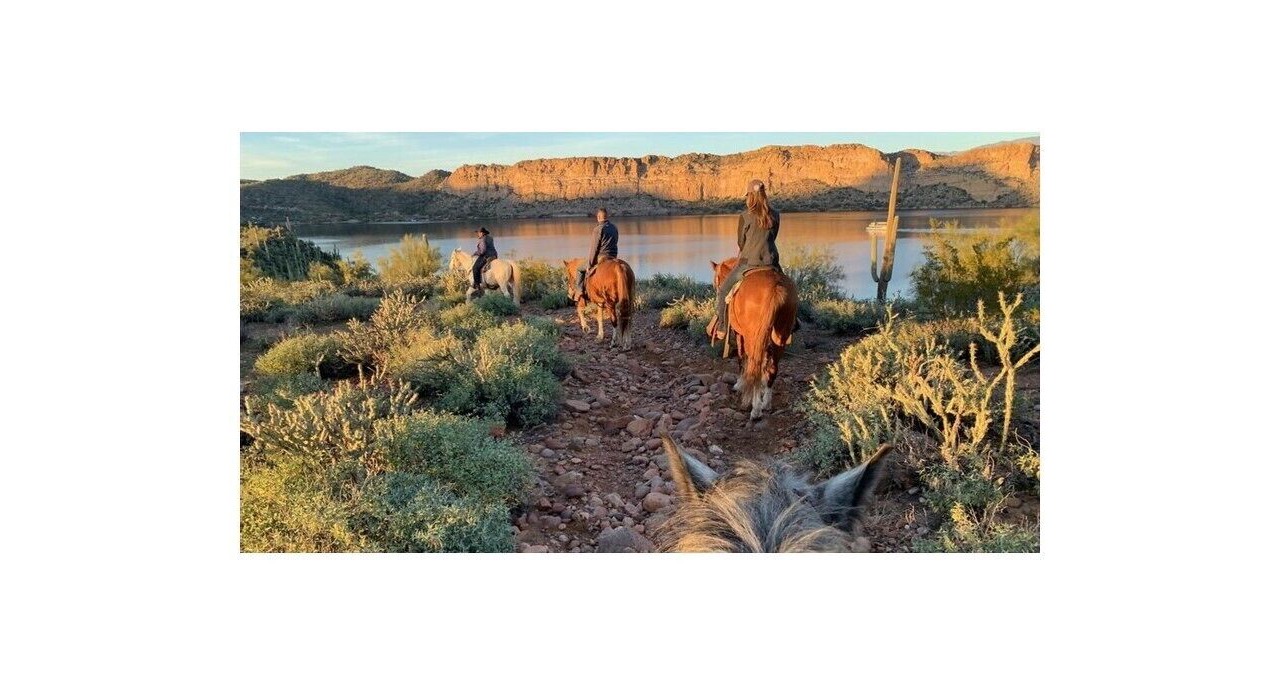 Photo of Outdoor in East Mesa