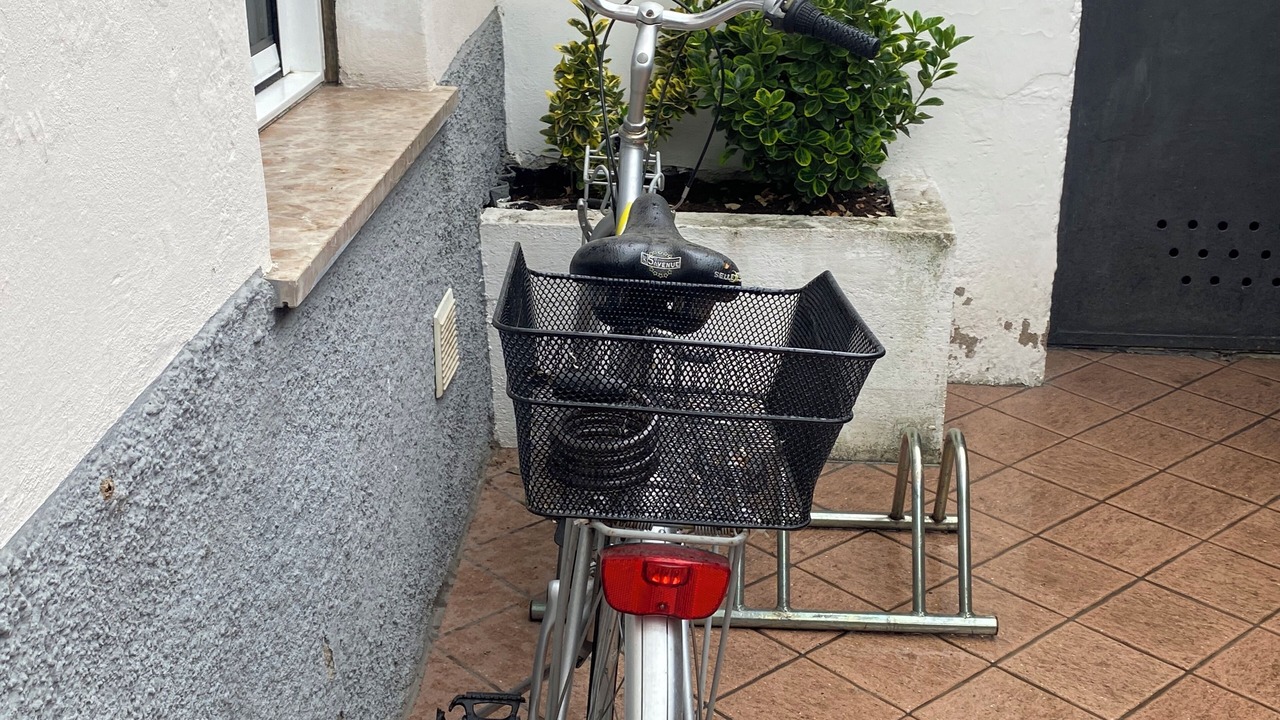Photo of Others in Trento