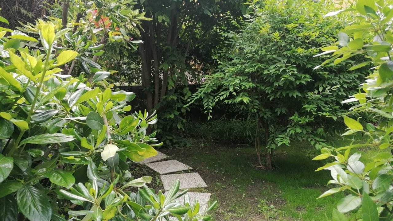 Photo of Outdoor in Trento