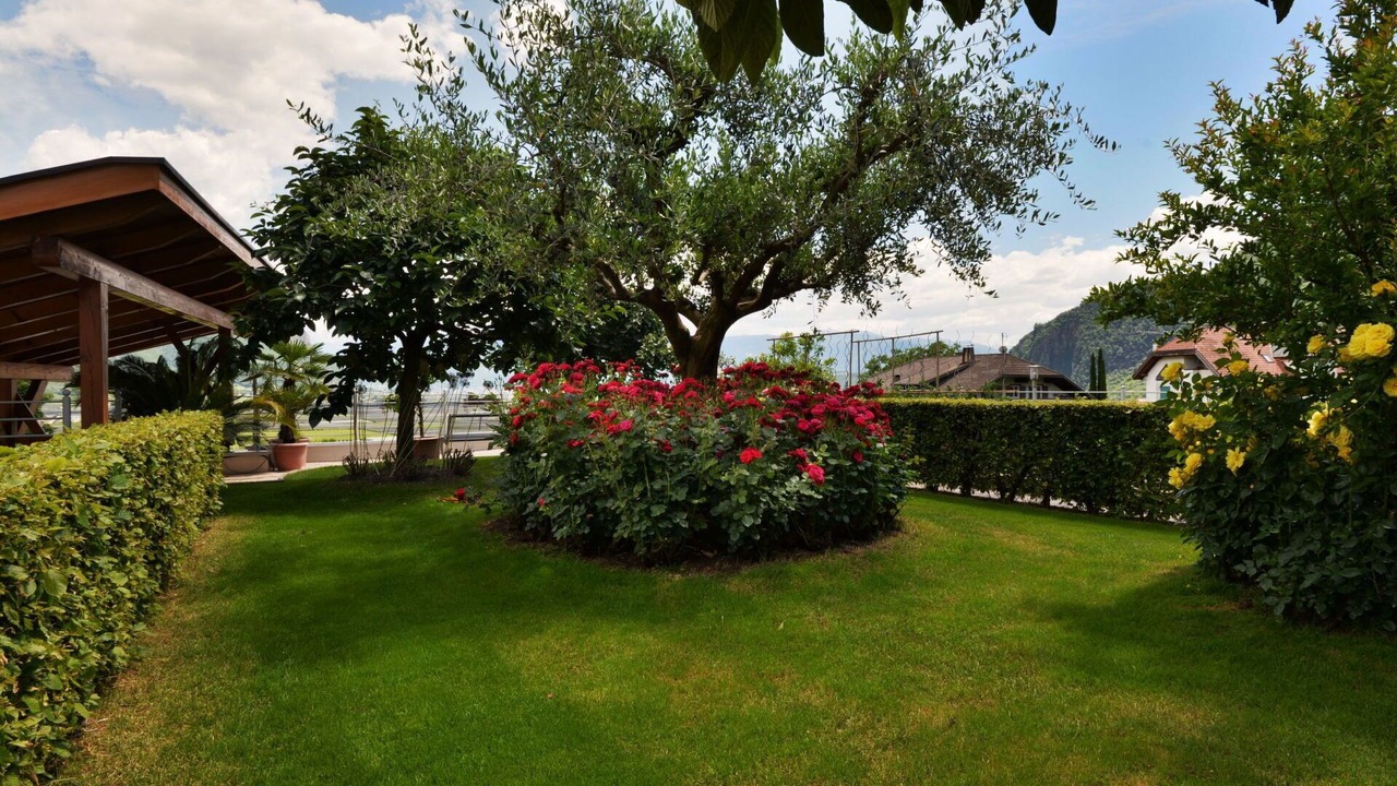 Photo of Outdoor in Andriano