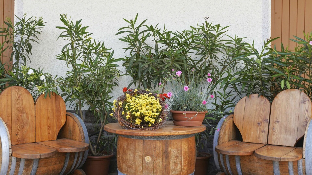 Photo of Outdoor in Andriano