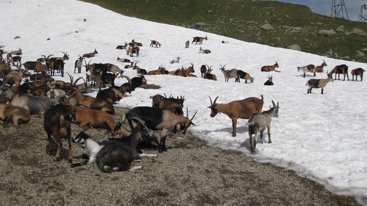 Photo of Others in Rabla