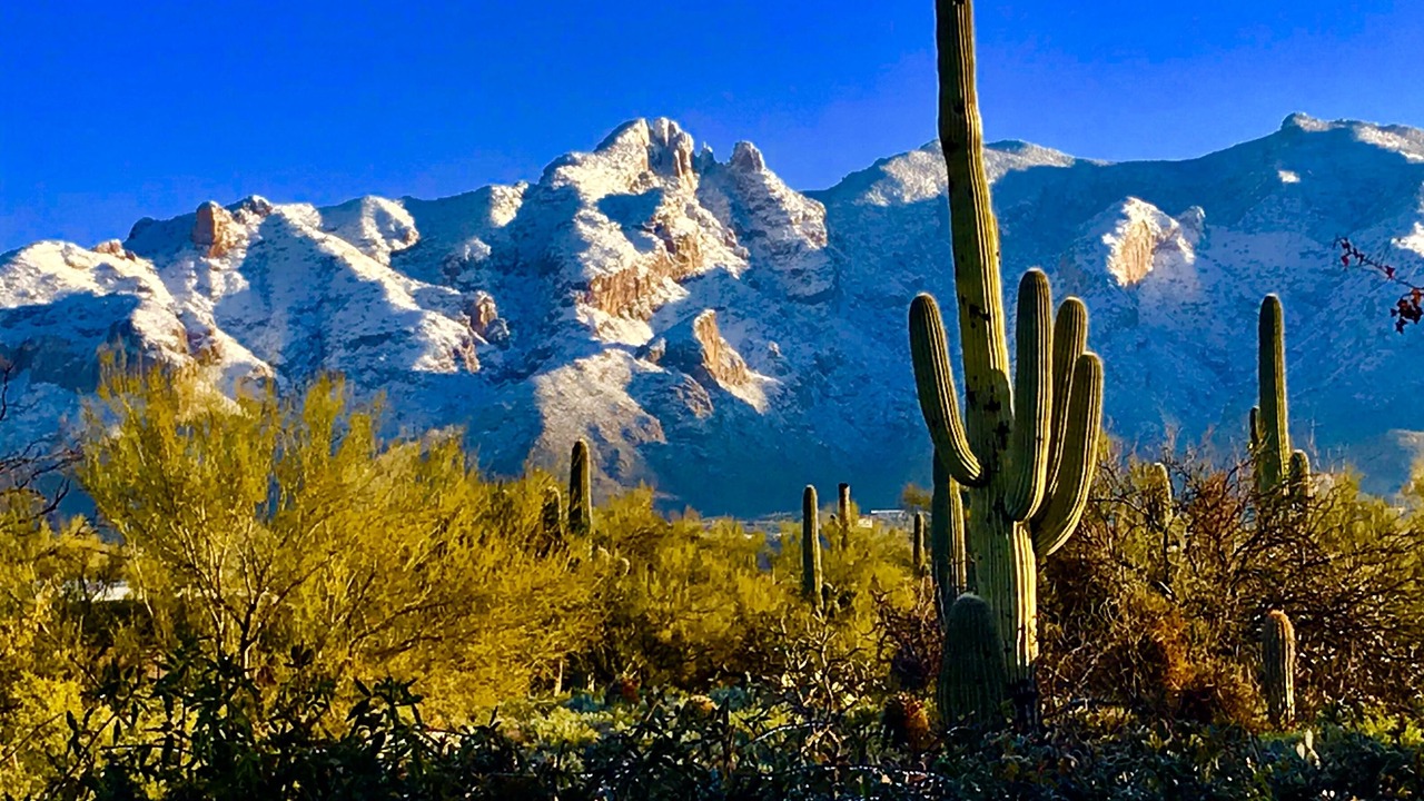 Photo of Others in Catalina Foothills Estates