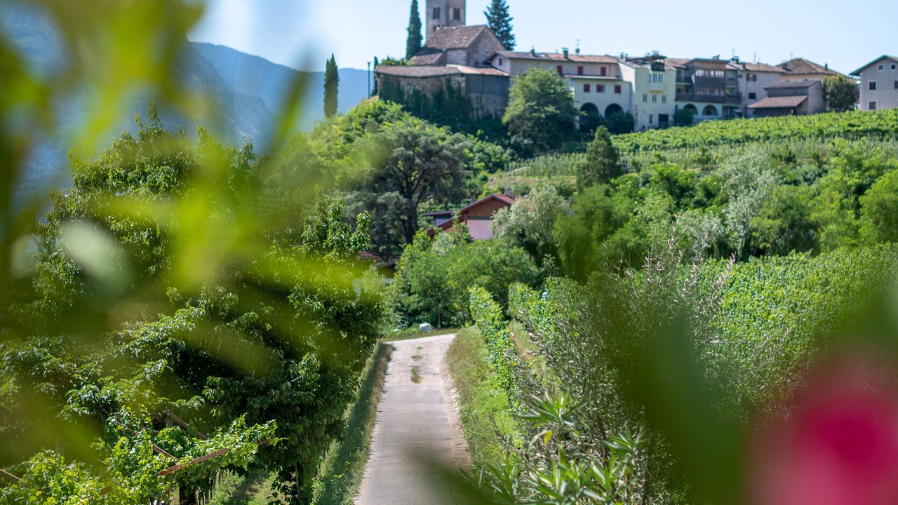 Photo of Others in Termeno Sulla Strada del Vino