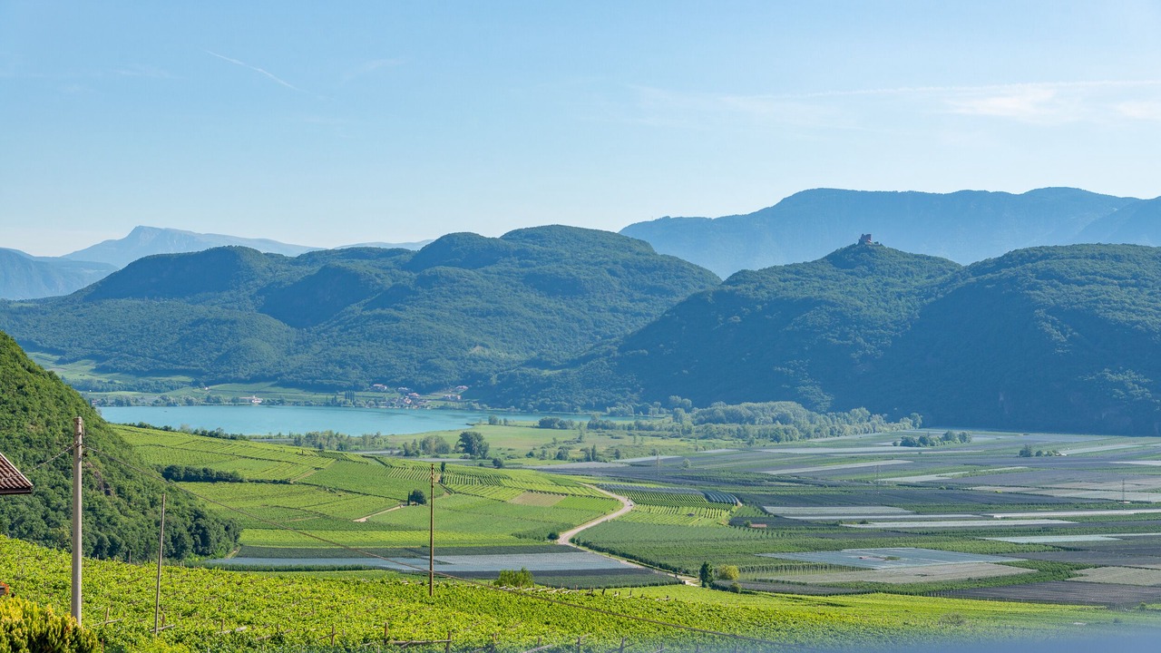 Photo of Others in Termeno Sulla Strada del Vino