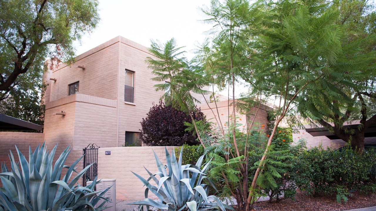Photo of Outdoor in Prince Tucson