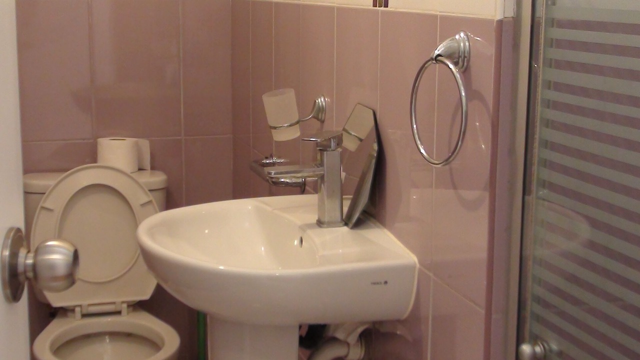 Photo of Bathroom in San Borja