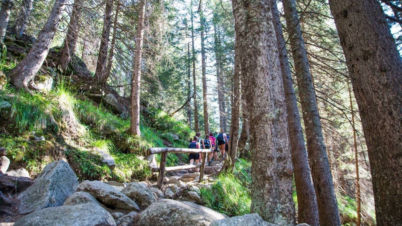 Photo of Outdoor in Ragoli