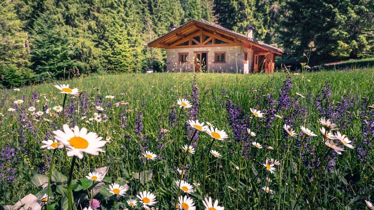 Photo of Outdoor in Ragoli