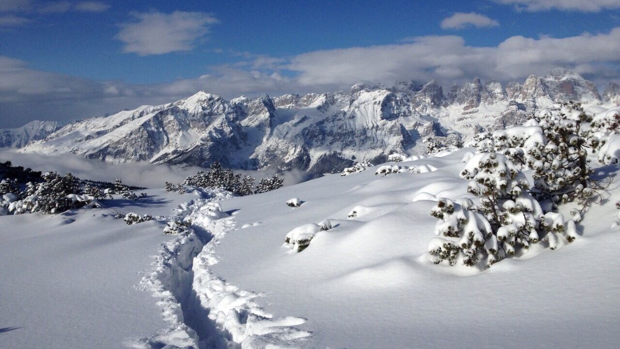 Photo of Others in Molveno