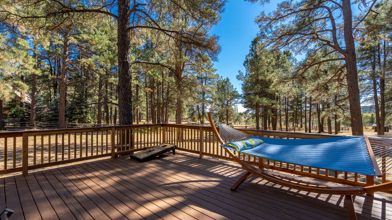Photo of Outdoor in Flagstaff