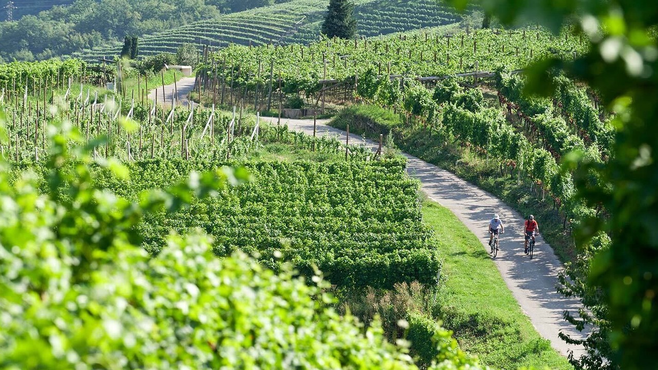 Photo of Outdoor in Tramin