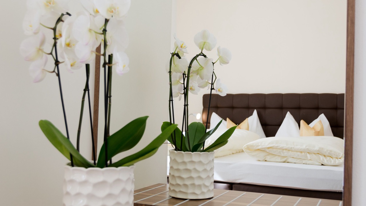 Photo of Bedroom in Tramin