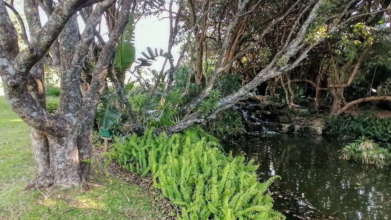 Photo of Outdoor in Port Edward