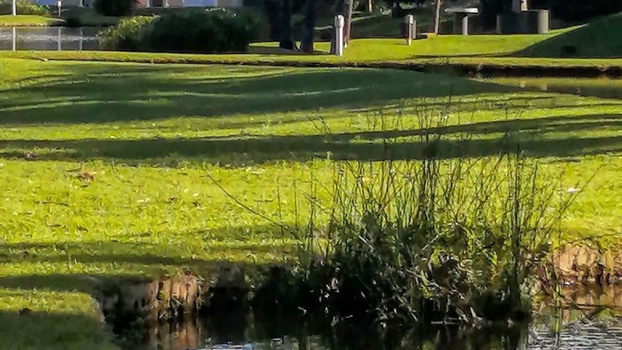 Photo of Outdoor in Port Edward
