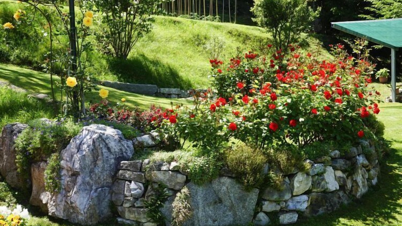 Photo of Outdoor in Bolognano-Vignole