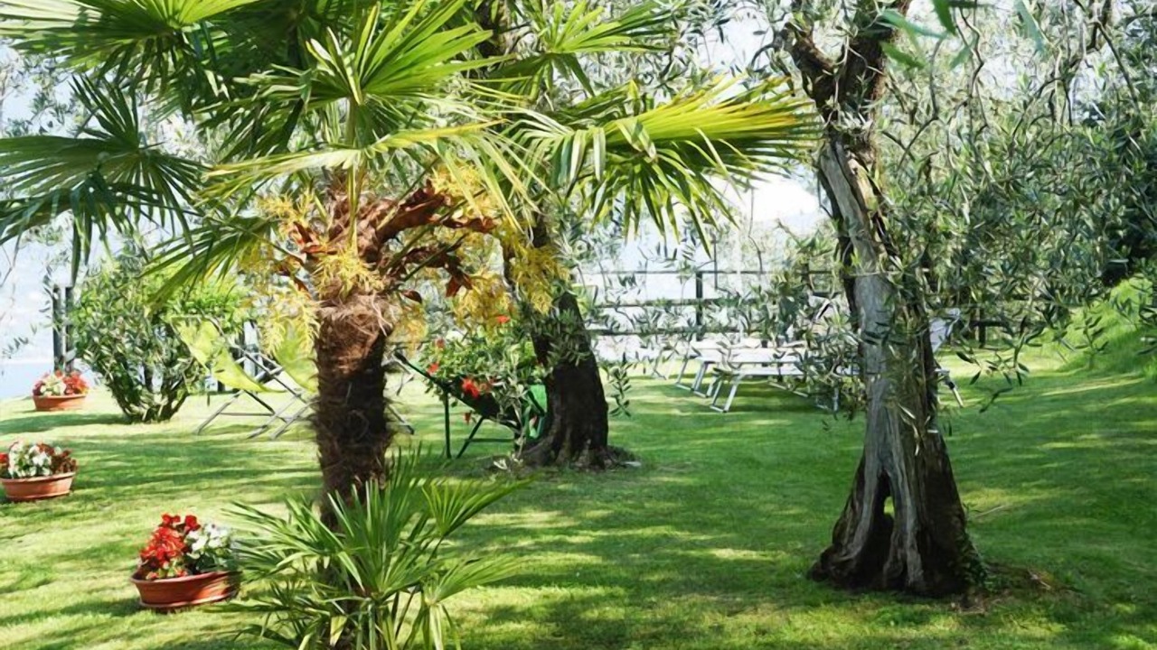 Photo of Outdoor in Bolognano-Vignole