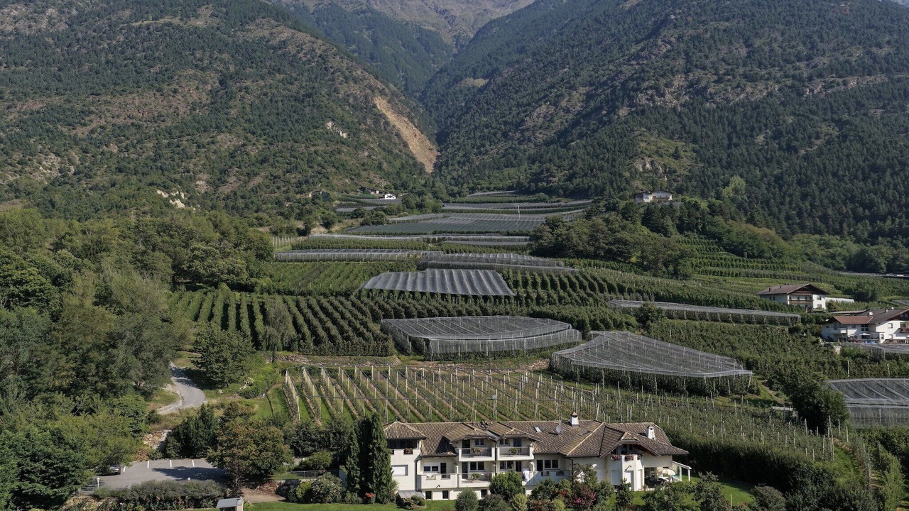 Photo of Outdoor in Coldrano