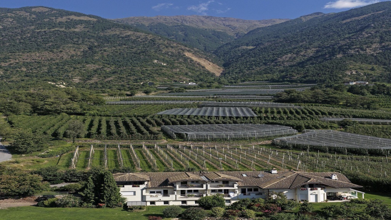 Photo of Outdoor in Coldrano