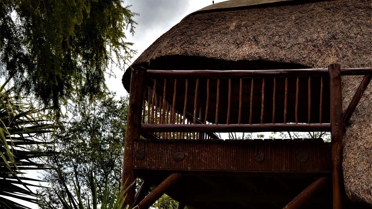Photo of Outdoor in Colenso