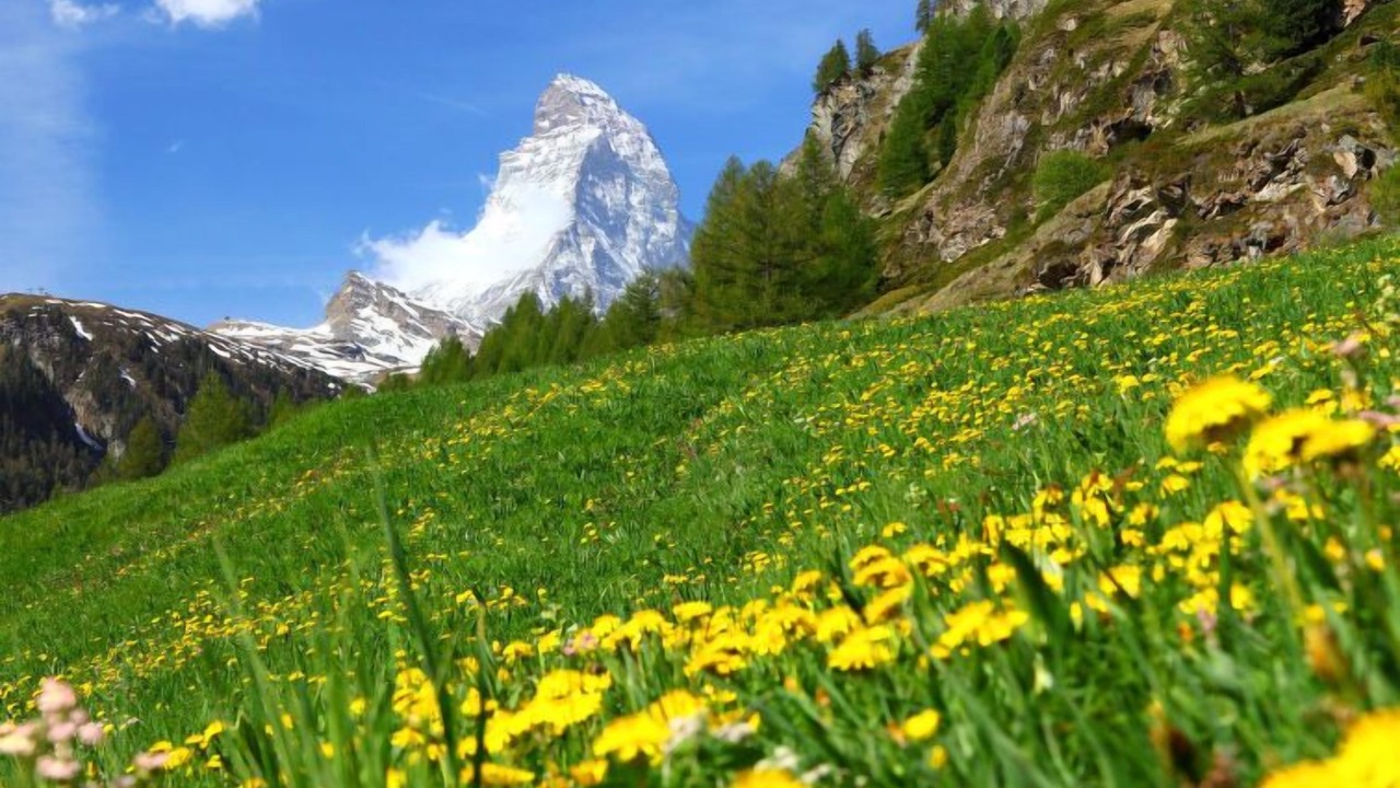 Photo of Others in Zermatt City Centre