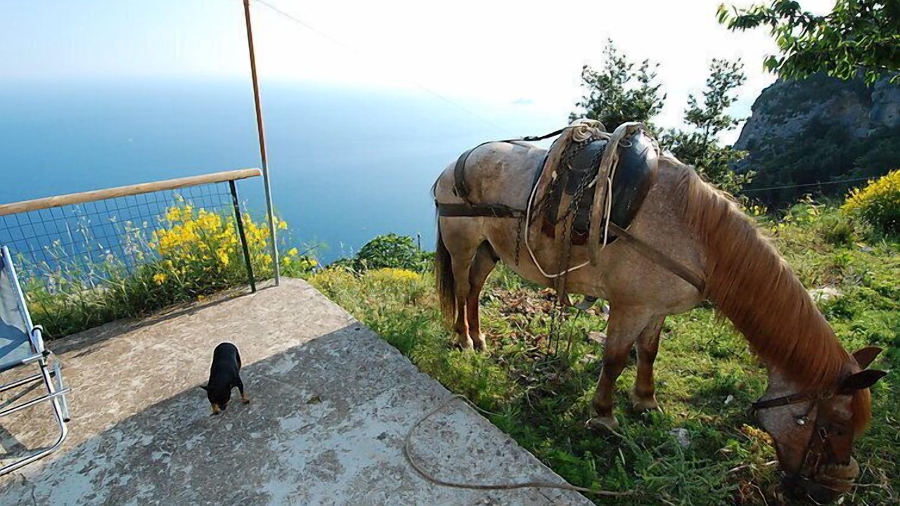 Photo of Others in Agerola