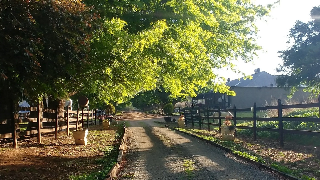 Photo of Outdoor in Greater Kokstad