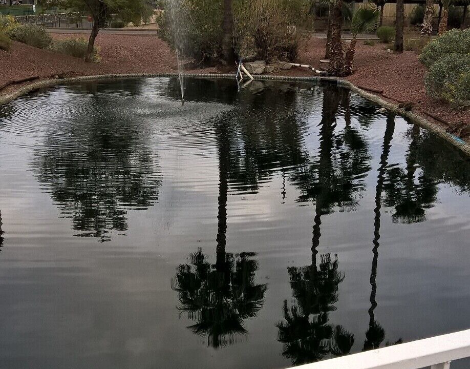 Photo of Outdoor in Surprise