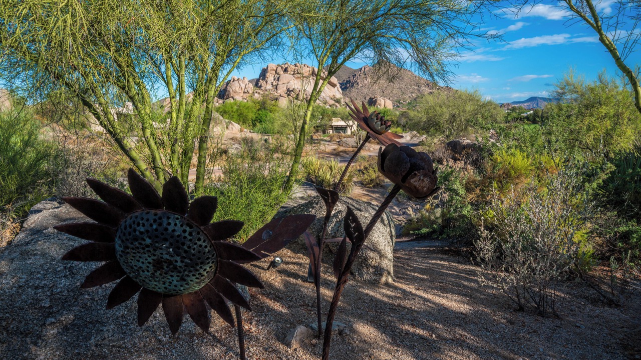 Photo of Outdoor in Pinnacle Peak