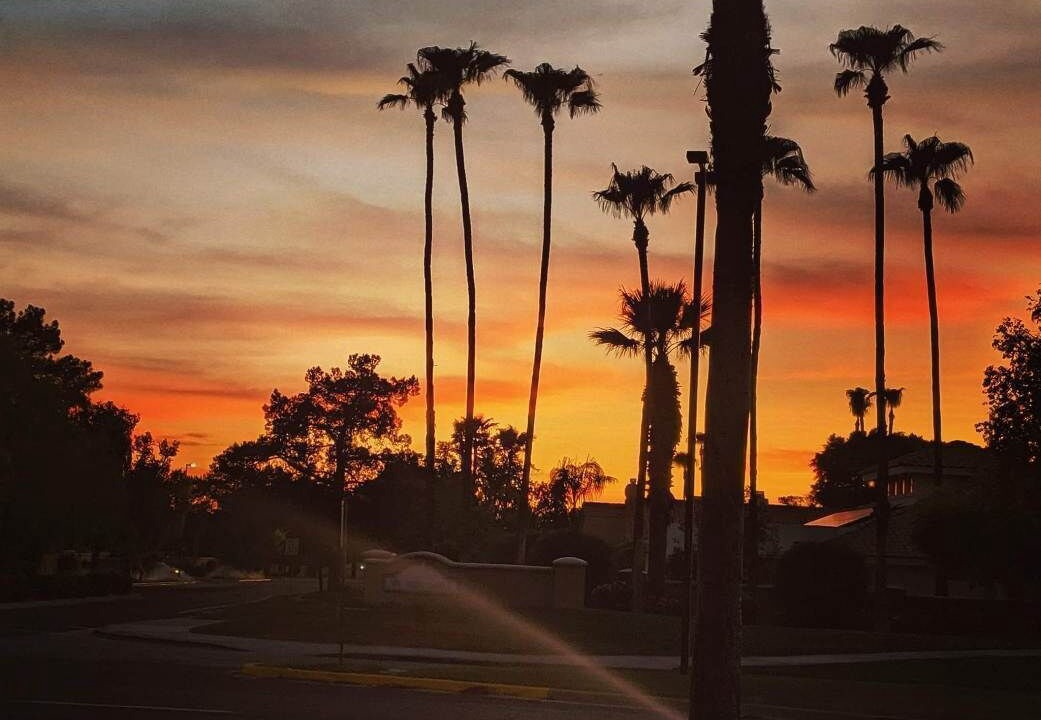Photo of Others in Val Vista Lakes
