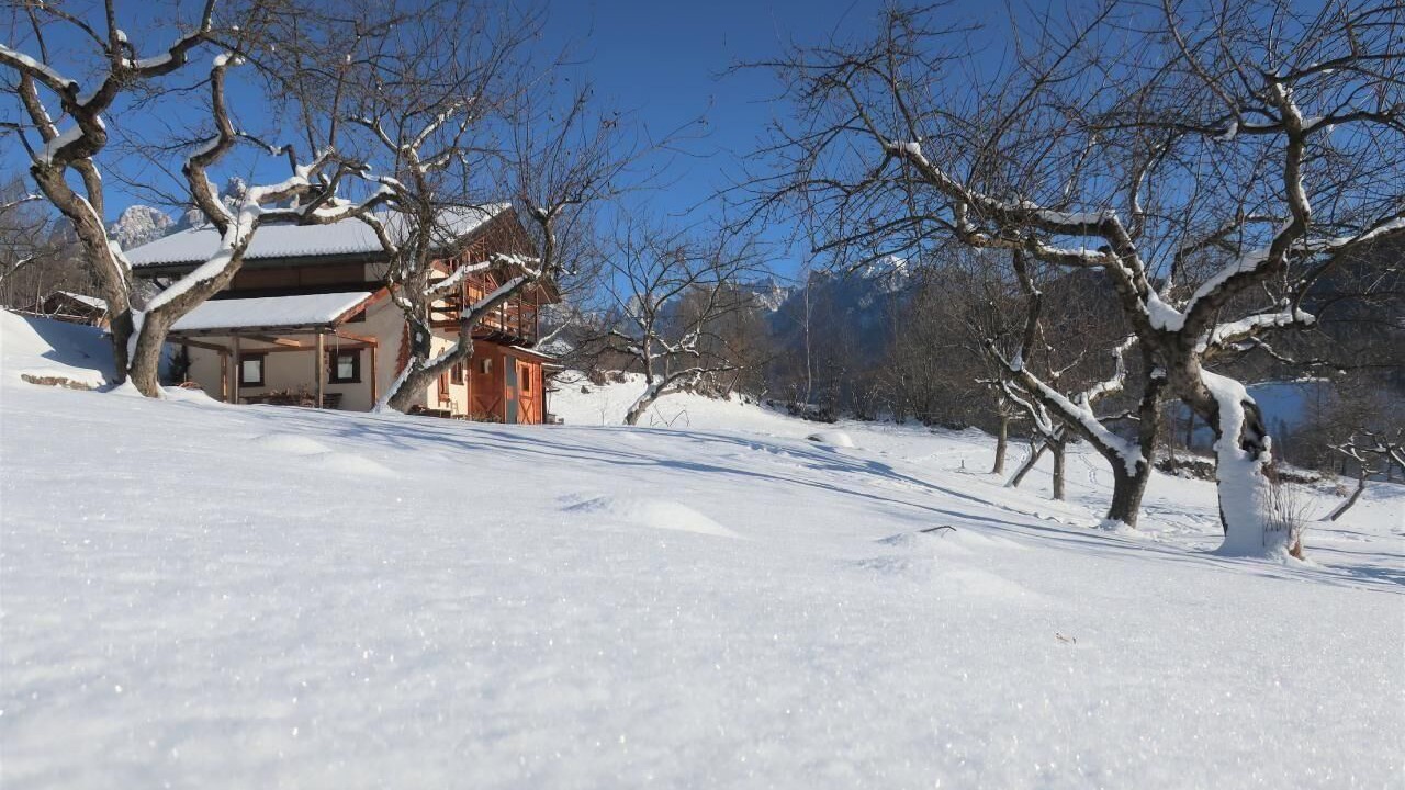 Photo of Outdoor in Mezzano
